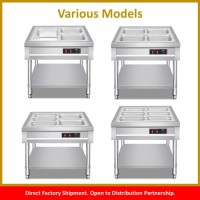 Multifunctional Steam Table