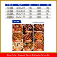 Commercial Electric BBQ Pits